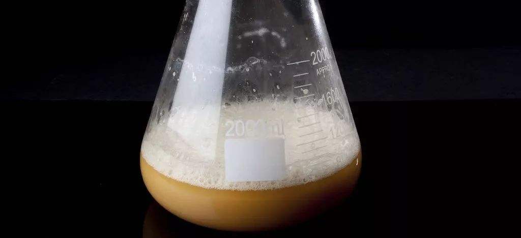酵母發(fā)酵起泡是怎么回事，怎么處理這些泡沫？